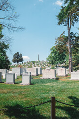 arlington national cemetery in spring
