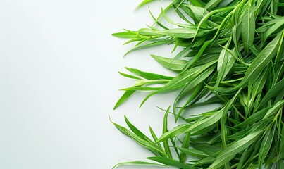 A close-up of fresh organic tarragon, its long, slender leaves arranged neatly against a light, clean background, emphasizing its aromatic and vibrant green hues, with space for text