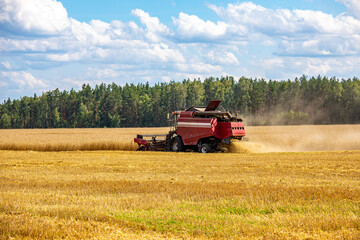 A red combine harvester is driving through a field of wheat