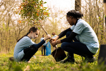 Small child and her colleague planting a tree in the forest, volunteering to participate at...