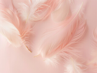 Abstract background with close-up of soft pink feathers in pastel colors. Background and texture.