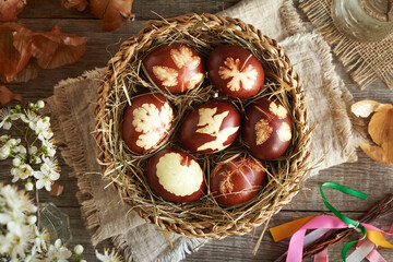 Brown Easter eggs dyed with onion peels in a wicker basket with spring flowers