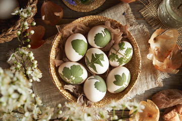 Raw Easter eggs with herbs attached to them with old stockings, ready to be dyed with onion skins