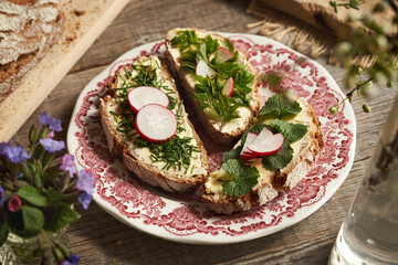 Spring wild edible plants - garlic mustard onion grass and goutweed, on slices of sourdough bread