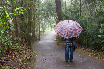person walking in rain