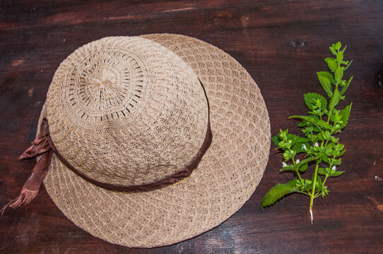 summer hat and mint on the table
