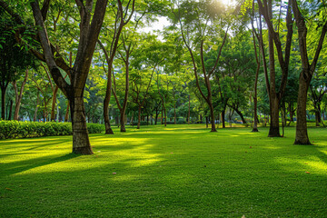 A peaceful park with green lawns and tall trees providing shade.
