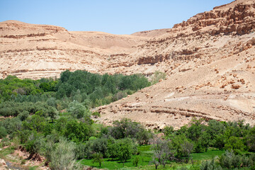 Green valley among desert mountains in south Morocco