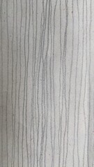 Hand Drawn Pencil Lines Texture on Paper. rough grainy textured page or canvas