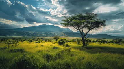 Tanzania vastland mountain field trees cloudy sky