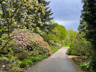 Stunning view of beautiful blooming botanical garden park Loki Schmidt with colorful flowers and trees on sunny summer day	
