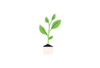 drawing of vase with plant, without background