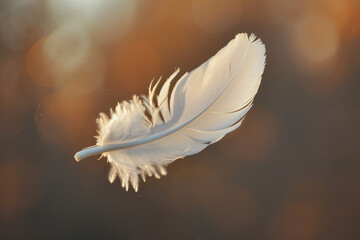 Obraz premium A single white feather floating in mid-air.