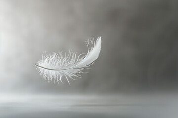 A single white feather floating in mid-air.