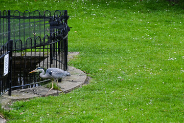 London, UK, 24 March 2024: West Ham Park, London
