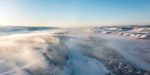  Fog in  Forest Aerial view Generative AI