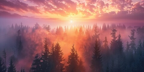  Fog in  Forest Aerial view Generative AI