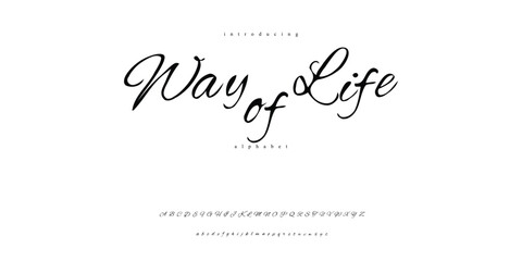 Handwriting script brush font alphabet signature Font Calligraphy Logotype Script Brush Font Type Font lettering for wedding 