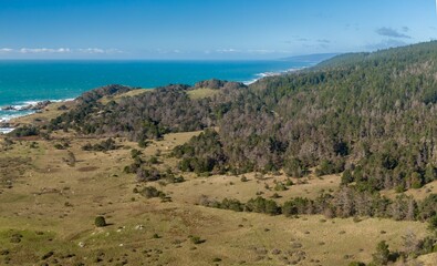 Forest and rough coasline in the north.  Cazadero, California, United States of America.