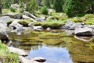 Naklejka na ściany i meble A Pond witn Clear Water in the Mountains