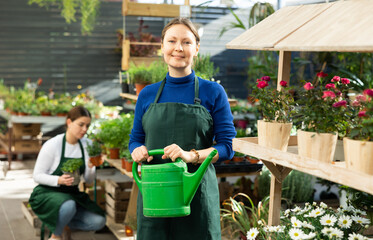 smiling employee of flower greenhouse stands with watering can near shelf with low-growing flowering shrubs