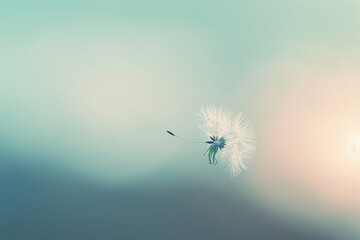 A single dandelion seed floating in the air against a clear background.