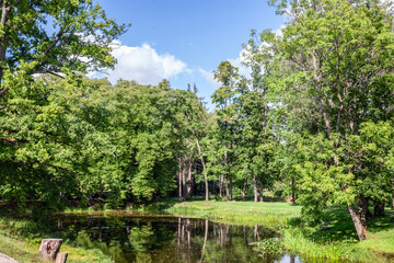 Panorama of a pond in a baltic forest in Sigulda, latvia, surrounded by green woods in summer, in a typical european water area.