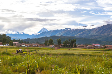 Paisaje hermoso de maiz