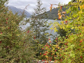 Lago da Rota dos 7 Lagos em Bariloche