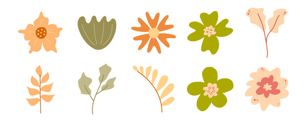 Floral Abstract Organic