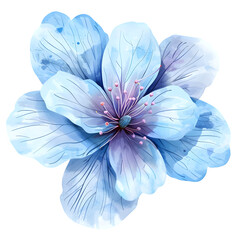 Elegant blue flower isolated on a transparent background watercolor painting