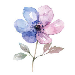Hand-drawn pink and blue flower isolated on a transparent background watercolor painting