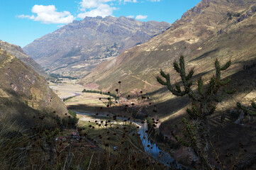 Cactus to the right of the image in the foreground and sacred valley in the background