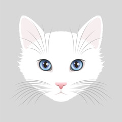 White cat face with bright blue eyes and big vibrissae
