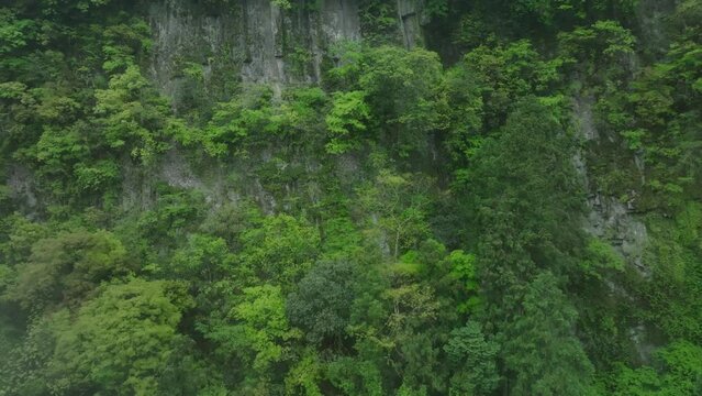 240422_miyazaki_0223