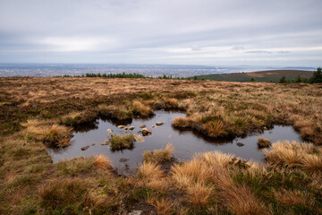Panorama of Dublin City and the Dublin bay up to Howth as seen from Wicklow Mountains. Big puddle...