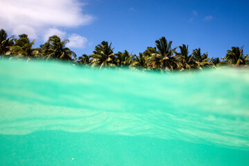 Beautiful island view of swaying palm trees captured from the ocean’s aqua surface