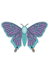 blue moth isolated on white background