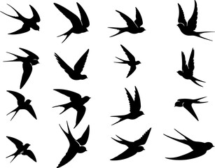 Set silhouettes hirondelle rustique en vol, oiseau noir sur fond blanc isol&eacute;