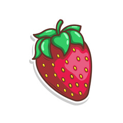 hand draw strawberry fruit illustration art

