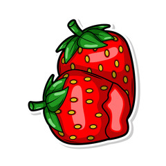 hand draw strawberry fruit illustration art