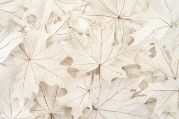 Canada Day Inspired Abstract Pattern with Neutral Maple Leaves for Product Photography