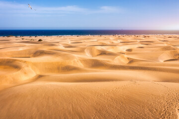 View of the Natural Reserve of Dunes of Maspalomas, in Gran Canaria, Canary Islands, Spain....