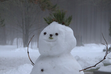 snowman on the snow
