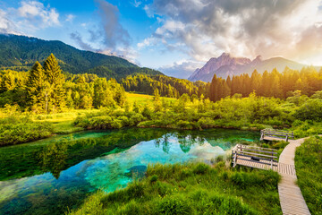 Wonderful view of Zelenci nature reserve in Slovenia. Nature reserve Zelenci, Krajnska Gora,...