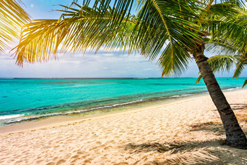 Tropical beach scenery, vacation in paradise island Mauritius. Dream exotic island, tropical...