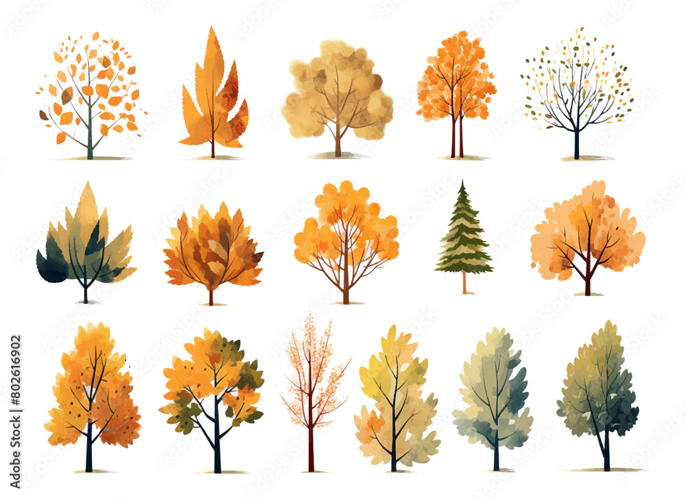 Canvas Prints set of watercolor autumn trees on isolated white background