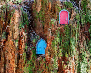 small blue door made of polymer clay on in nature like a fairy house close up