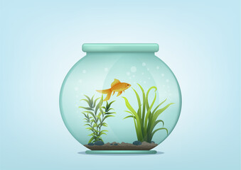 beautiful fish in fishbowl with water plant.