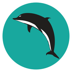 Dolphins graphic icons set. Signs swimming dolphins isolated on white background. Sea life symbols. Vector illustration